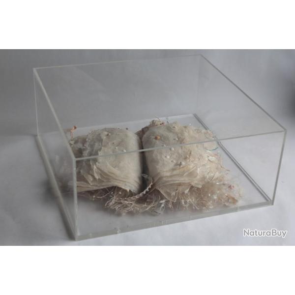 VIVIANE FONTAINE Sculpture Livre papier 1992 Suisse