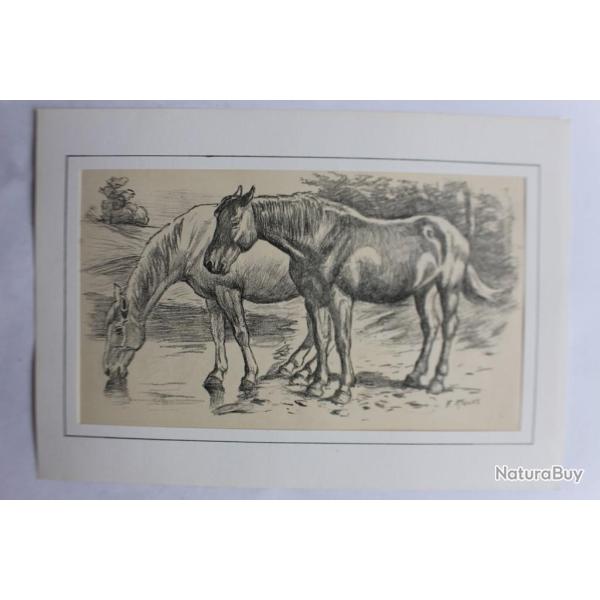 Dessin original au crayon chevaux F. KRAUSS �quitation