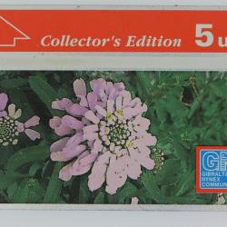 Télécarte L&G dummy Candytuft Collector's Edition Gibraltar