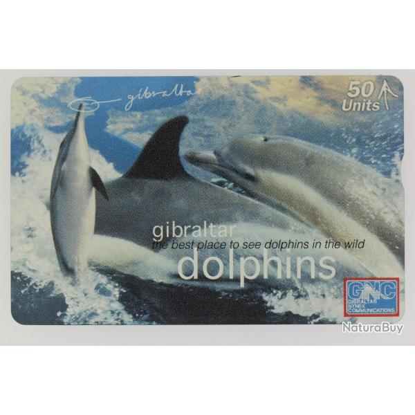 Tlcarte L&G dummy Dolphins Gibraltar