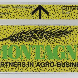 Télécarte L&G dummy Montagne Pays-Bas