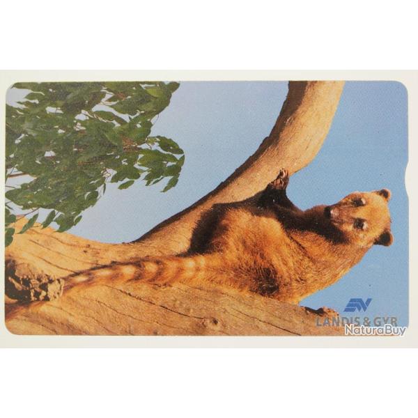 T�l�carte L&G Full Face Trial Coati 630L Isra�l 1996