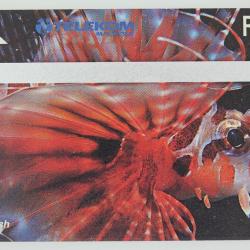 Télécarte L&G dummy Lion Fish Malaisie