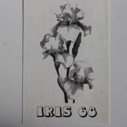 Carte postale QSL Radio Amateur Suisse Iris 68