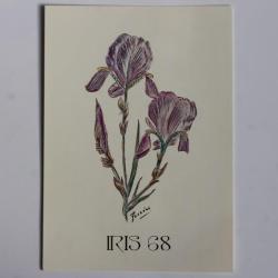 Carte postale QSL Radio Amateur Suisse Iris 68
