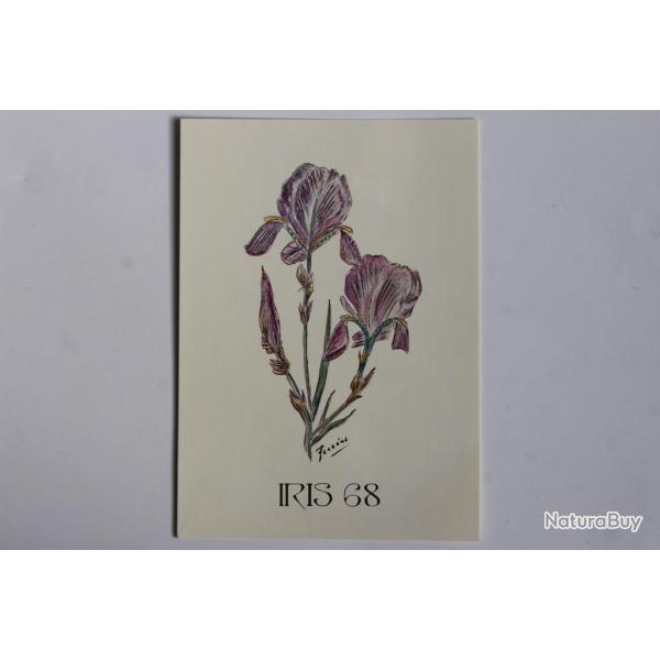 Carte postale QSL Radio Amateur Suisse Iris 68