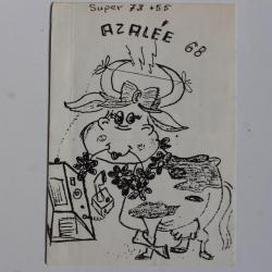 Carte postale QSL Radio Amateur Suisse Azal&eacute;e 68