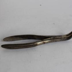 Davier dentaire WALTER Pince dentiste Médecine