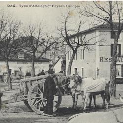 Carte postale France Dax Landes Type d'attelage et paysan Landais