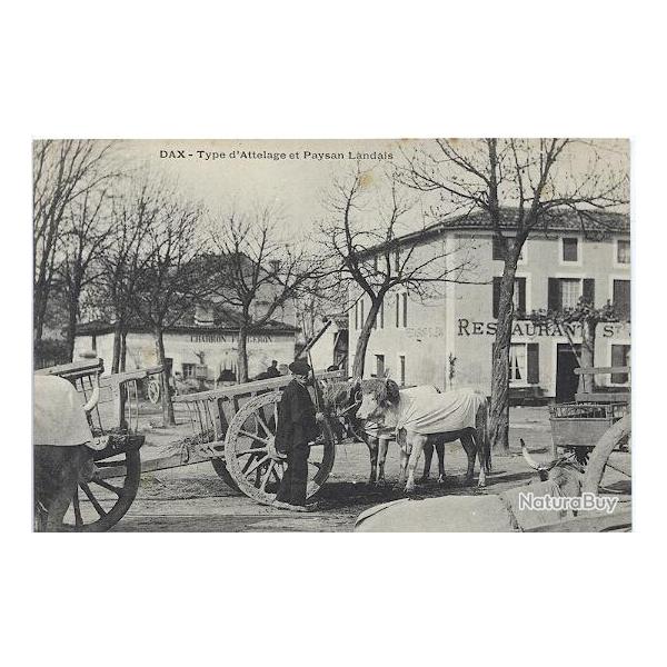 Carte postale France Dax Landes Type d'attelage et paysan Landais