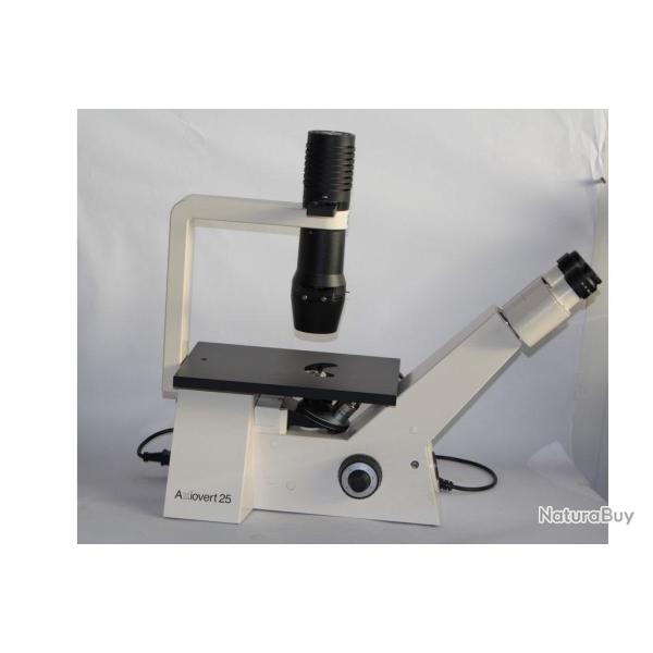 AXIOVERT 25 Carl Zeiss Microscope invers� � contraste de phase
