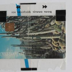 T&eacute;l&eacute;carte &agrave; puce Monaco MF17 Jardin exotique NSB 1991