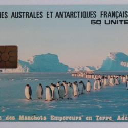 T&eacute;l&eacute;carte &agrave; puce Terres Australes TAAF5 Manchots Empereur 1995