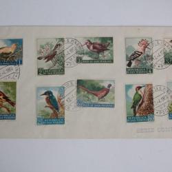 Enveloppe FDC San marino birds Fauna Avicola venezia 1960