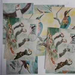 Lot 8 Carte Maximum oiseaux guepier et macareux 1960