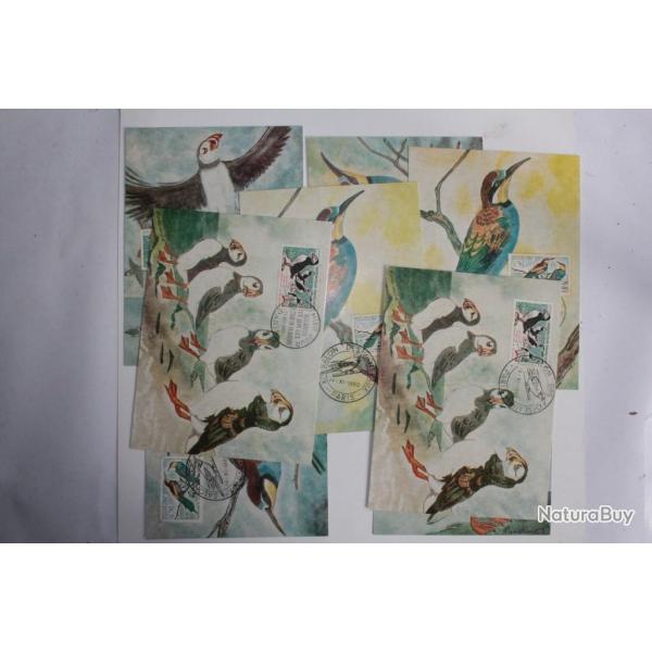 Lot 8 Carte Maximum oiseaux guepier et macareux 1960