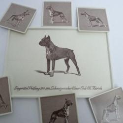 Plateau + dessous de verres Boxer - Club 1961 chiens