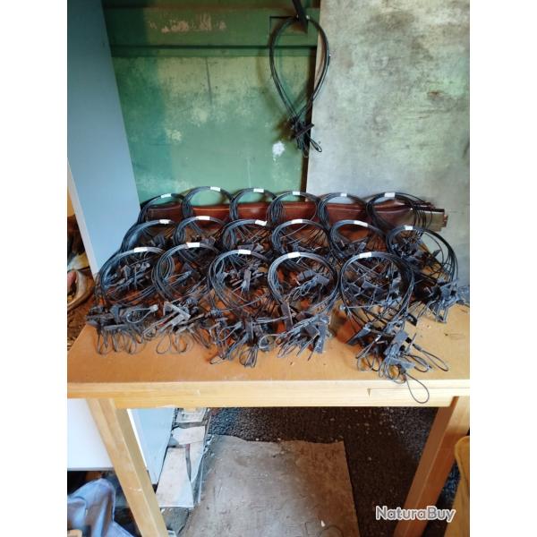 Lacet pour pi�ge BELISLE