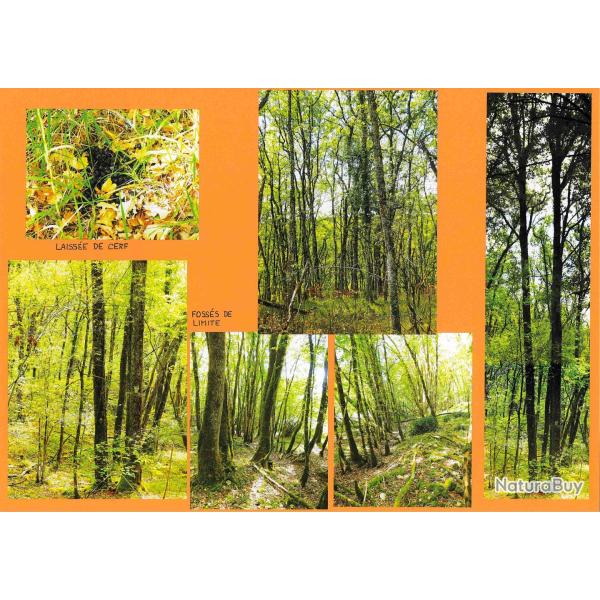 8,0405 ha - FORT DU LAC DE VALAT - ( 24 ) DORDOGNE