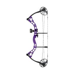 DIAMOND - Kit Arc &agrave; Poulies PRISM 31 GAUCHER (LH) PURPLE