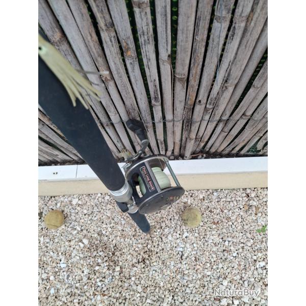 Vend canne + moulinet pche aux gros