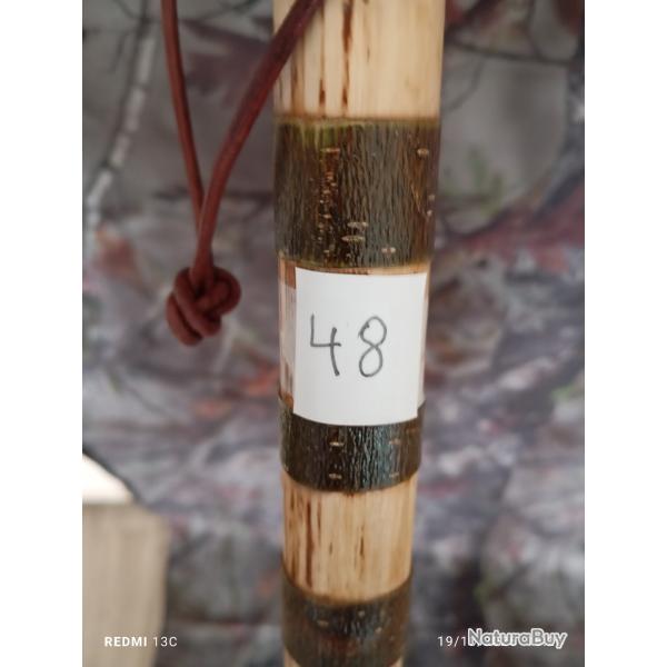 canne de pirsch (49)