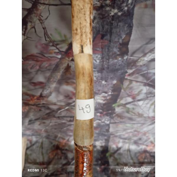 canne de pirsch (50)