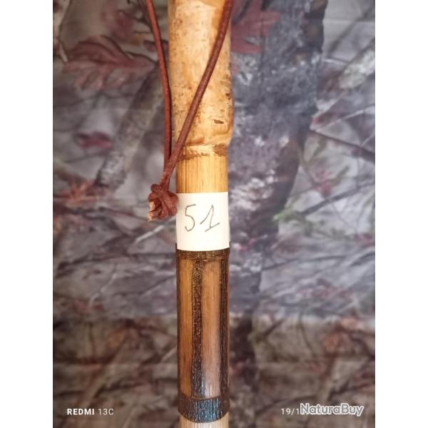 canne de pirsch (51)