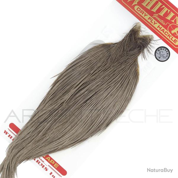 Cous de coq Whiting Silver gris fonc�