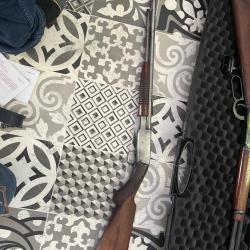 Carabine trombone browning &agrave; vendre ou &agrave; &eacute;changer