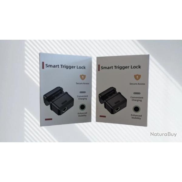 black FRIDAY ! 2x Verrou de pontet biom�trique ! inclus 2 cl�s de secours