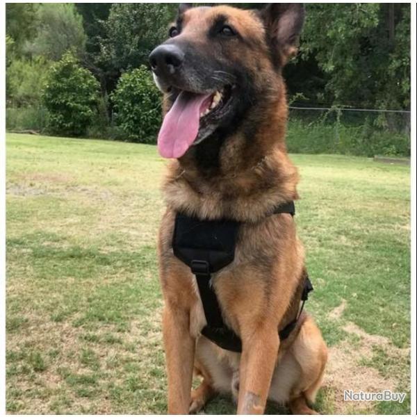 Harnais WHISPER ultra light tactical - Recon K9