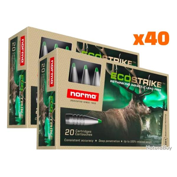 BF* Balles Norma Ecostrike 9,3 x 74 R 250gr x40