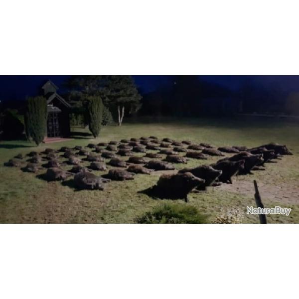 Fabuleuse battue Croate