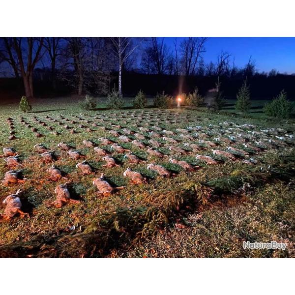 La chasse du petit gibier en Hongrie