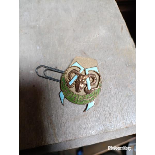 Insigne tirailleurs algriens , 7 RTA.