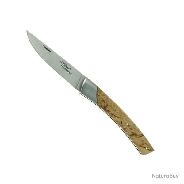 Thiers Compact Bouleau