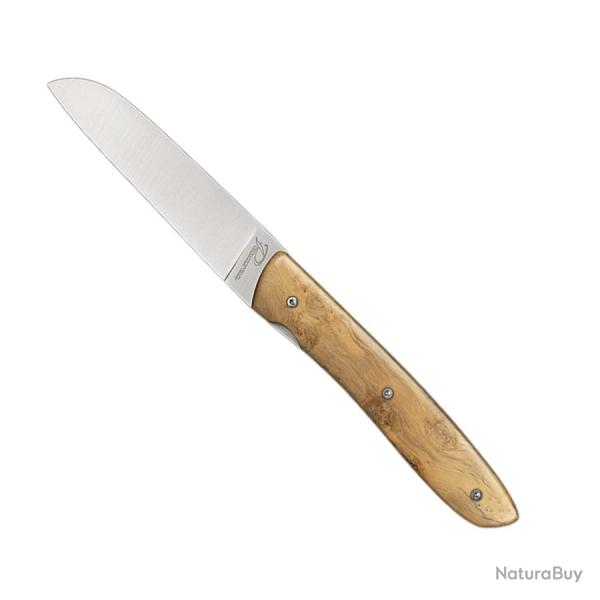 L08 Manche en Loupe de Buis - Perceval