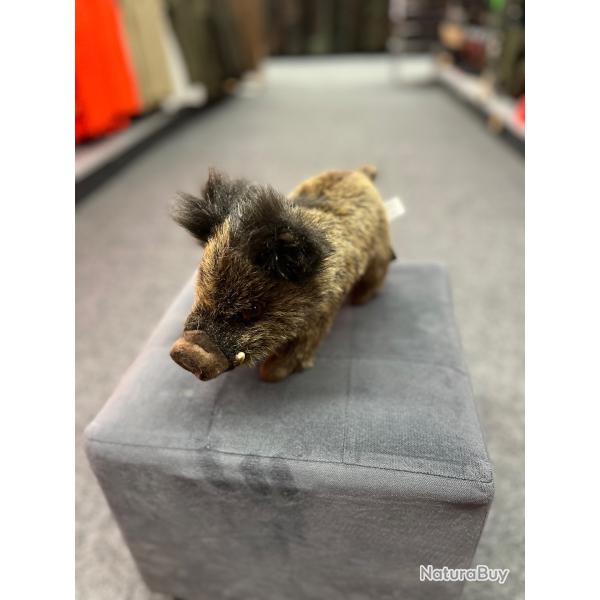 PELUCHE SANGLIER L