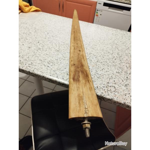 Vritable rostre d'espadon