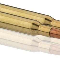 Sologne .270 Win Nosler Ballistic Tip 130 gr / 8,4 g - .270 Win Ballistic Tip 130 gr / 8.4 g