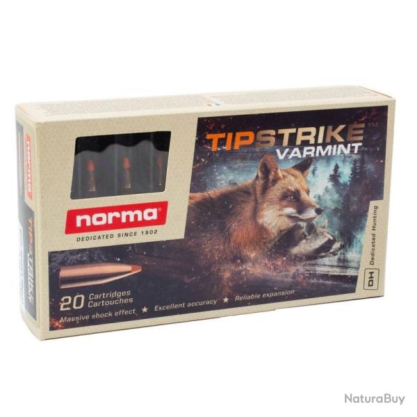 Norma 243win tipstrike varmint 76gr munitions cartouches