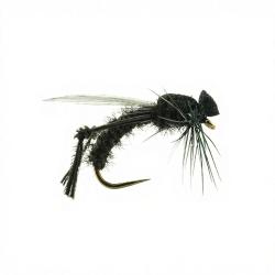 Mouche DEVAUX Terrestre Bibio JBBM 01 H14
