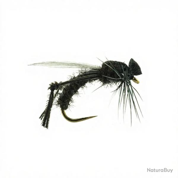Mouche DEVAUX Terrestre Bibio JBBM 01 H14