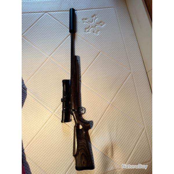 Carabine browning - cal. 308