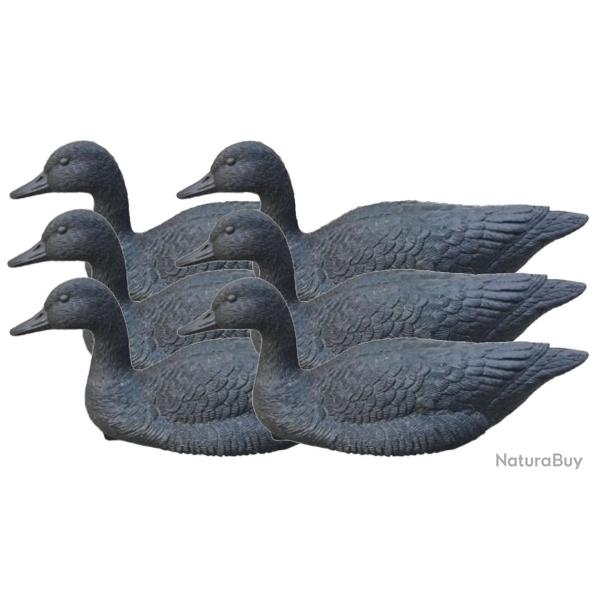 Pack 6 appelants oie noire flottante