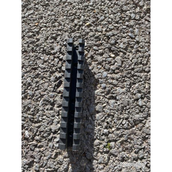 Rail rehauss pour Ruger 10/22