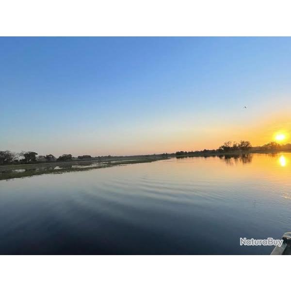 GIBIER D'EAU ET DE TERRE AU SENEGAL