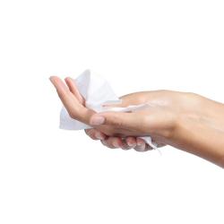 10 Lingettes magiques biod&eacute;gradables