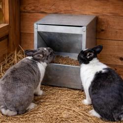 Mangeoire murale metal galvanis&eacute; lapin, rongeurs 2,5 Kg